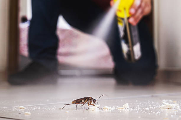 Insect Control in Merchantville, NJ