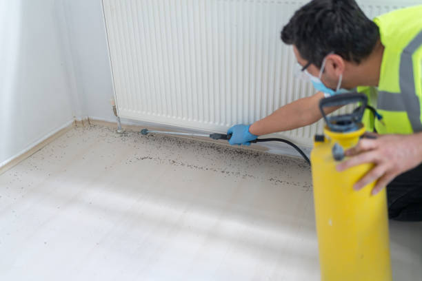 Best Pest Control Near Me  in Merchantville, NJ